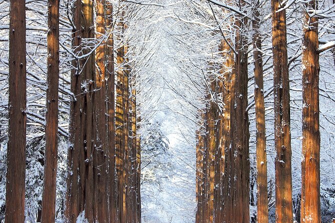 Vivaldi Park Winter Ski Resort with Nami Island Tour from Seoul - Timing, Weather, and How the Day Really Moves