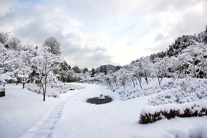 Vivaldi Park Winter Ski Resort with Nami Island Tour from Seoul - Comfort Tips That Keep the Day Fun (Not Frustrating)