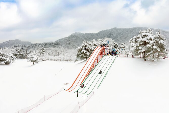 Vivaldi Park Winter Ski Resort with Nami Island Tour from Seoul - Who This Tour Fits Best