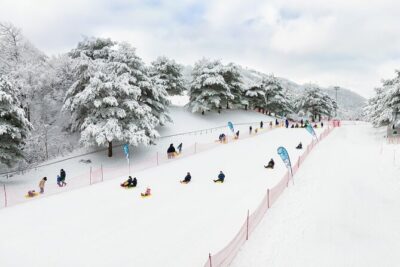 Vivaldi Park Winter Ski with Eobi Ice Valley Day Tour from Seoul - Stop 1: Eobi Ice Valley for Icicle Photos and Quick Wandering
