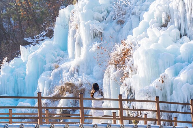 Vivaldi Park Winter Ski with Eobi Ice Valley Day Tour from Seoul - Lessons, Gear, and the Helmet Fee You Need to Plan For
