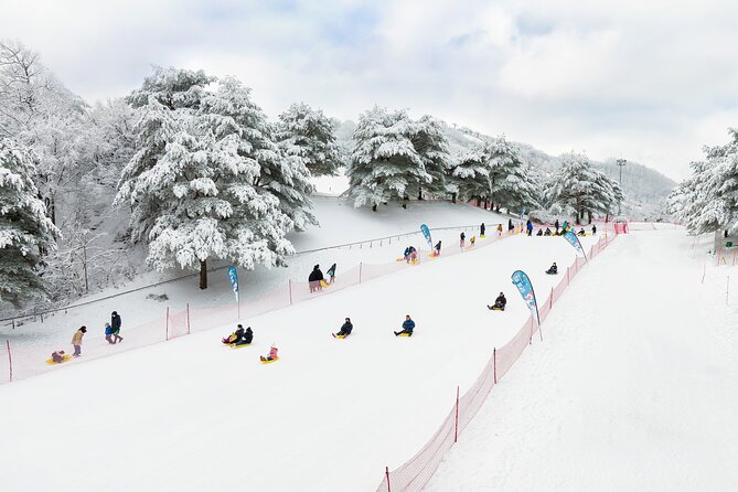 Vivaldi Park Winter Ski with Eobi Ice Valley Day Tour from Seoul - Stop 1: Eobi Ice Valley for Icicle Photos and Quick Wandering
