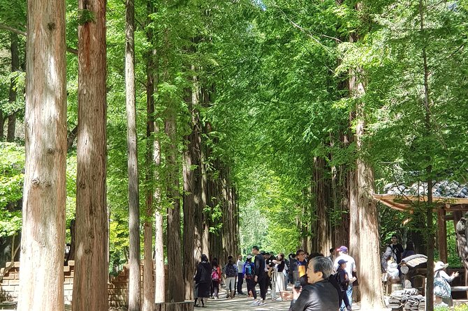 Winter Sonata TV Tour on Nami Island from Seoul - Nami Island: filming stops, Naminara Republic, and quick ferry time